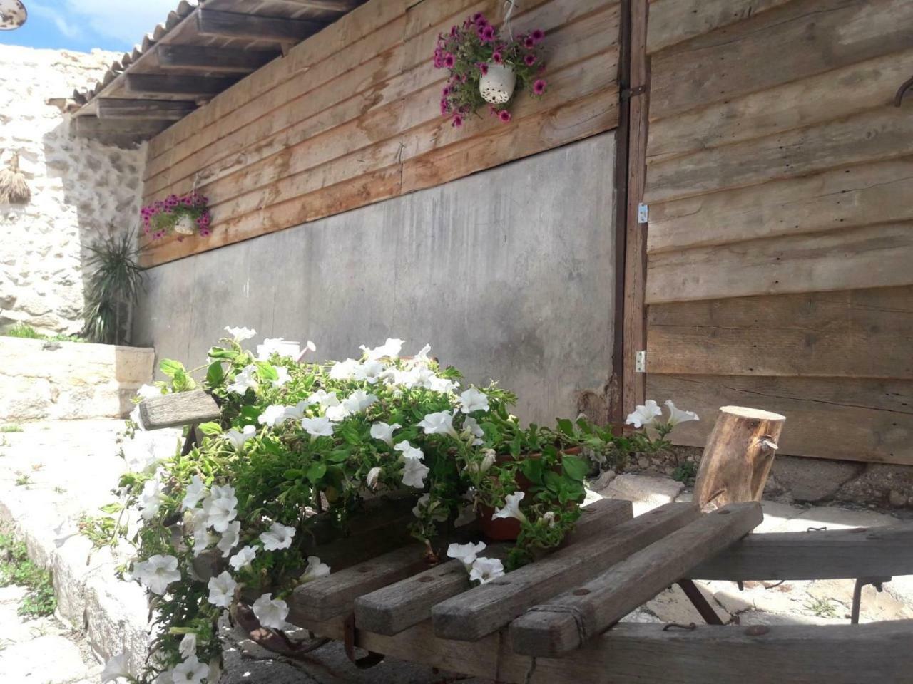 Le Mangiatoie Del Cavaliere Bed & Breakfast Montallegro Exterior photo